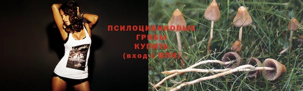 скорость mdpv Лиски