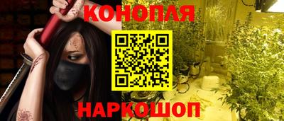 спиды Гатчина