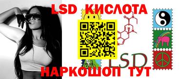 спиды Гатчина