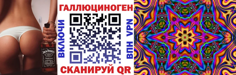 где продают наркотики  Ангарск  гидра как войти  Псилоцибиновые грибы Psilocybe 