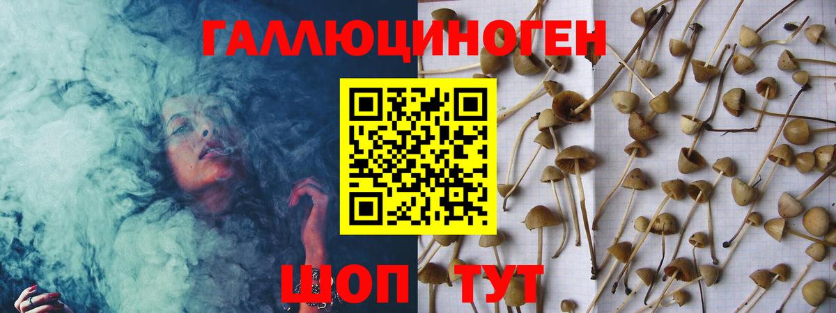 как найти закладки  Вход с VPN  Ангарск  Галлюциногенные грибы Psilocybe 