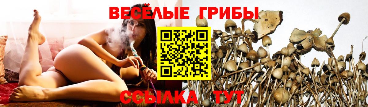 Галлюциногенные грибы GOLDEN TEACHER Ангарск