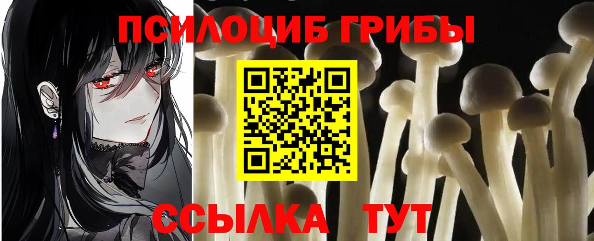 продажа наркотиков  Галлюциногенные грибы мицелий  Ангарск  Галлюциногенные грибы прущие грибы 