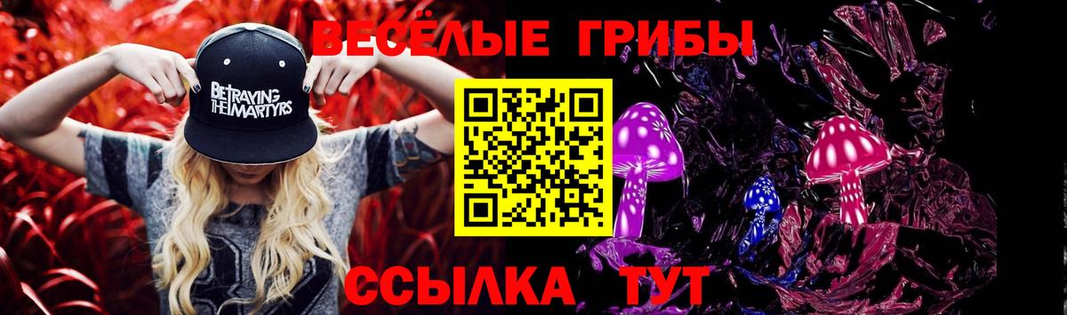 Ангарск  Псилоцибиновые грибы мухоморы  Вход с VPN 